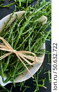 Salicornia is a genus of succulent, salt tolerant, salt substitute. Редакционное фото, фотограф Лика / Фотобанк Лори