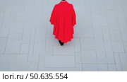 Catholic cardinal in a vivid red robe walking alone on geometric white stone pavement. Стоковое AI-видео, аниматор Екатерина Усенко / Фотобанк Лори
