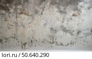 wall water leak mold ai generated. Стоковое AI-изображение, AI-художник Vectorwin / Фотобанк Лори