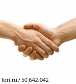 Two business people shaking hands in agreement. Стоковое AI-изображение, AI-художник Иван Рябоконь / Фотобанк Лори