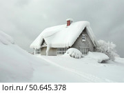 Snow covered house during a snowstorm in winter landscape. Стоковое AI-изображение, AI-художник Иван Рябоконь / Фотобанк Лори