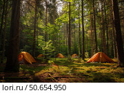 Orange tents nestled in a serene forest setting. Стоковое AI-изображение, AI-художник Иван Рябоконь / Фотобанк Лори
