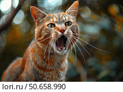 Ginger tabby cat meowing outdoors with blurred background. Стоковое AI-изображение, AI-художник Иван Рябоконь / Фотобанк Лори