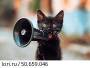 Black kitten speaking into megaphone making announcement. Стоковое AI-изображение, AI-художник Иван Рябоконь / Фотобанк Лори