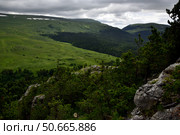 Вид на Плато Лаго-Наки со скалы Утюг, Адыгея. Стоковое фото, фотограф Оглоблин Андрей Николаевич / Фотобанк Лори