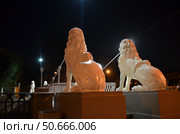 Львиный мост на канале Грибоедов в ночное время суток, Cанкт-Петербург (2024 год). Редакционное фото, фотограф Сергеев Валерий / Фотобанк Лори