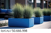 landscape blue fescue ai generated. Стоковое AI-изображение, AI-художник Vectorwin / Фотобанк Лори