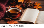 leaves book flatlay ai generated. Стоковое AI-изображение, AI-художник Vectorwin / Фотобанк Лори