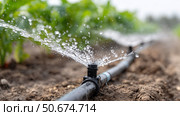 Efficient irrigation system supplying water to crops in a rural farm setting. Стоковое AI-изображение, AI-художник Katsiaryna Repich / Фотобанк Лори