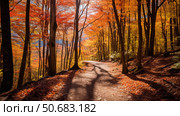 autumn black mountain nc ai generated. Стоковое AI-изображение, AI-художник Vectorwin / Фотобанк Лори