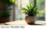 fern table top plant. Стоковое фото, фотограф Vectorwin / Фотобанк Лори