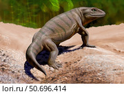 A Seymouria baylorensis from the Paleozoic era. Стоковое фото, фотограф Sergey Krasovskiy/Stocktrek Images / ТАСС / Фотобанк Лори
