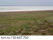 Steppe grasses on the slopes of Bolshoe Bogdo Mountain and the salt lake Baskunchak in the distance on a summer day, Bogdinsko-Baskunchak Nature Reserve, Akhtubinsky district, Astrakhan region, Russia. Стоковое фото, фотограф Ula Ulachka / Фотобанк Лори