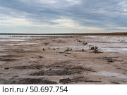 Sandy shores of the drying salt lake Baskunchak on a summer day, Nizhny Baskunchak, Akhtubinsky district, Astrakhan region, Russia. Стоковое фото, фотограф Ula Ulachka / Фотобанк Лори