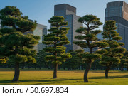 Skyscrapers of the Marunouchi business district in Chiyoda Ward against the background of the Outer gardens of the Imperial Palace on a sunny day, Tokyo, Japan. Стоковое фото, фотограф Ula Ulachka / Фотобанк Лори