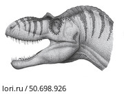 Headshot of an Albertosaurus sarcophagus dinosaur. Стоковое фото, фотограф Heraldo Mussolini/Stocktrek Images / ТАСС / Фотобанк Лори