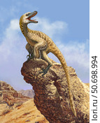 A Velociraptor screams loudly while perched on top of a rock formation. Стоковое фото, фотограф Sergey Krasovskiy/Stocktrek Images / ТАСС / Фотобанк Лори