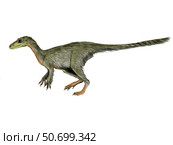 Dilong paradoxus dinosaur. Стоковое фото, фотограф Nobumichi Tamura/Stocktrek Images / ТАСС / Фотобанк Лори