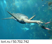 Kaiwhekea plesiosaur feeding on a pair of squid-like cephalopods. Стоковое фото, фотограф Nobumichi Tamura/Stocktrek Images / ТАСС / Фотобанк Лори