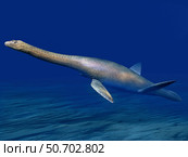 Cryptoclidus is an extinct plesiosaur from the Late Jurassic of England. Стоковое фото, фотограф Nobumichi Tamura/Stocktrek Images / ТАСС / Фотобанк Лори