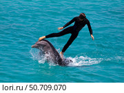 A trainer gets a ride on an Atlantic bottlenose dolphin, Tursiops truncatus. Стоковое фото, фотограф David Fleetham/Stocktrek Images / ТАСС / Фотобанк Лори