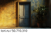 threshold door way. Стоковое фото, фотограф Vectorwin / Фотобанк Лори