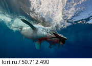A Tylosaurus catches a small plesiosaur. Стоковое фото, фотограф José Antonio Peñas/Stocktrek Images / ТАСС / Фотобанк Лори