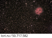 The Cocoon Nebula Phillip Jones/Stocktrek Images. Стоковое фото, агентство ТАСС / Фотобанк Лори