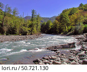 Mzymta river. Стоковое фото, фотограф Александр Карпенко / Фотобанк Лори