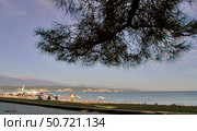 Pitsunda, beach (2006 год). Редакционное фото, фотограф Александр Карпенко / Фотобанк Лори