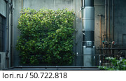 fertilizer nitrogen plant. Стоковое фото, фотограф Vectorwin / Фотобанк Лори
