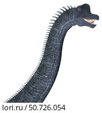Brachiosaurus dinosaur head. Стоковое фото, фотограф Corey Ford/Stocktrek Images / ТАСС / Фотобанк Лори