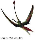 Eudimorphodon pterosaur flying. Стоковое фото, фотограф Corey Ford/Stocktrek Images / ТАСС / Фотобанк Лори