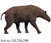 Paraceratherium, an extinct rhinoceros-like mammal. Стоковое фото, фотограф Corey Ford/Stocktrek Images / ТАСС / Фотобанк Лори