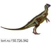 Hypsilophodon is an omnivorous dinosaur that lived during the Cretaceous period. Стоковое фото, фотограф Corey Ford/Stocktrek Images / ТАСС / Фотобанк Лори