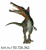 Spinosaurus dinosaur roaring, front view. Стоковое фото, фотограф Corey Ford/Stocktrek Images / ТАСС / Фотобанк Лори