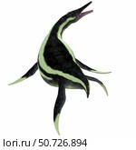 Dolichorhynchops marine reptile. Стоковое фото, фотограф Corey Ford/Stocktrek Images / ТАСС / Фотобанк Лори