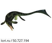 Cymbospondylus ichthyosaur from the Triassic Period. Стоковое фото, фотограф Corey Ford/Stocktrek Images / ТАСС / Фотобанк Лори