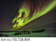 A classic complex of auroral curtains in the northeast sky. Стоковое фото, фотограф Alan Dyer/Stocktrek Images / ТАСС / Фотобанк Лори