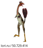 Mononykus dinosaur, front view on white bckground. Стоковое фото, фотограф Corey Ford/Stocktrek Images / ТАСС / Фотобанк Лори