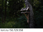 Кормушка для птиц и белок на дереве в лесу. Редакционное фото, фотограф Юлия Бухарцева / Фотобанк Лори