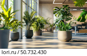 bamboo office plants. Стоковое фото, фотограф Vectorwin / Фотобанк Лори