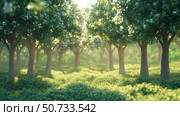 photorealistic growing trees. Стоковое фото, фотограф Vectorwin / Фотобанк Лори