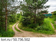 Развилка грунтовых дорог в деревне. Стоковое фото, фотограф Илья Старков / Фотобанк Лори