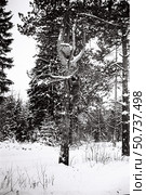 Человек залезает на дерево. Стоковое фото, фотограф Retro / Фотобанк Лори