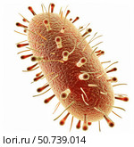 Bacteria showing pili and flagella rotating for movement. Стоковое AI-изображение, AI-художник Иван Рябоконь / Фотобанк Лори