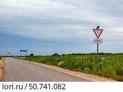 Канюк на дорожном знаке "Уступите дорогу" Стоковое фото, фотограф О. Король/Бизнес Online / ТАСС / Фотобанк Лори