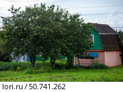 Яблони на дачном участке. Стоковое фото, фотограф О. Король/Бизнес Online / ТАСС / Фотобанк Лори