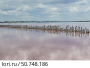 Облака отражаются в воде розового  озера в Крыму (Саки) Стоковое фото, фотограф Snezka / Фотобанк Лори