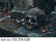 Human skull resting on tombstone in cemetery, evoking mortality and decay. Стоковое AI-изображение, AI-художник Иван Рябоконь / Фотобанк Лори